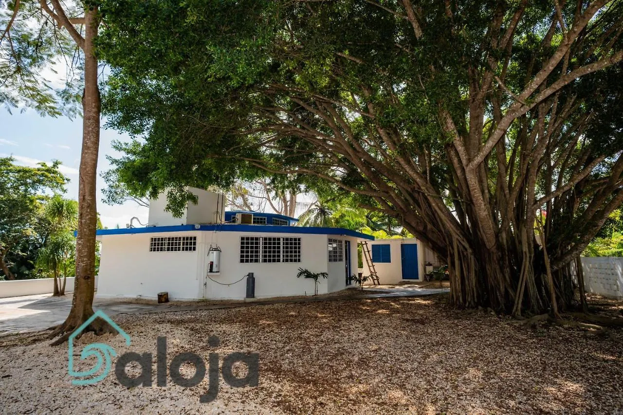 Villa Xtohil With Private Access To The Magic 7 Colors Lagoon Bacalar